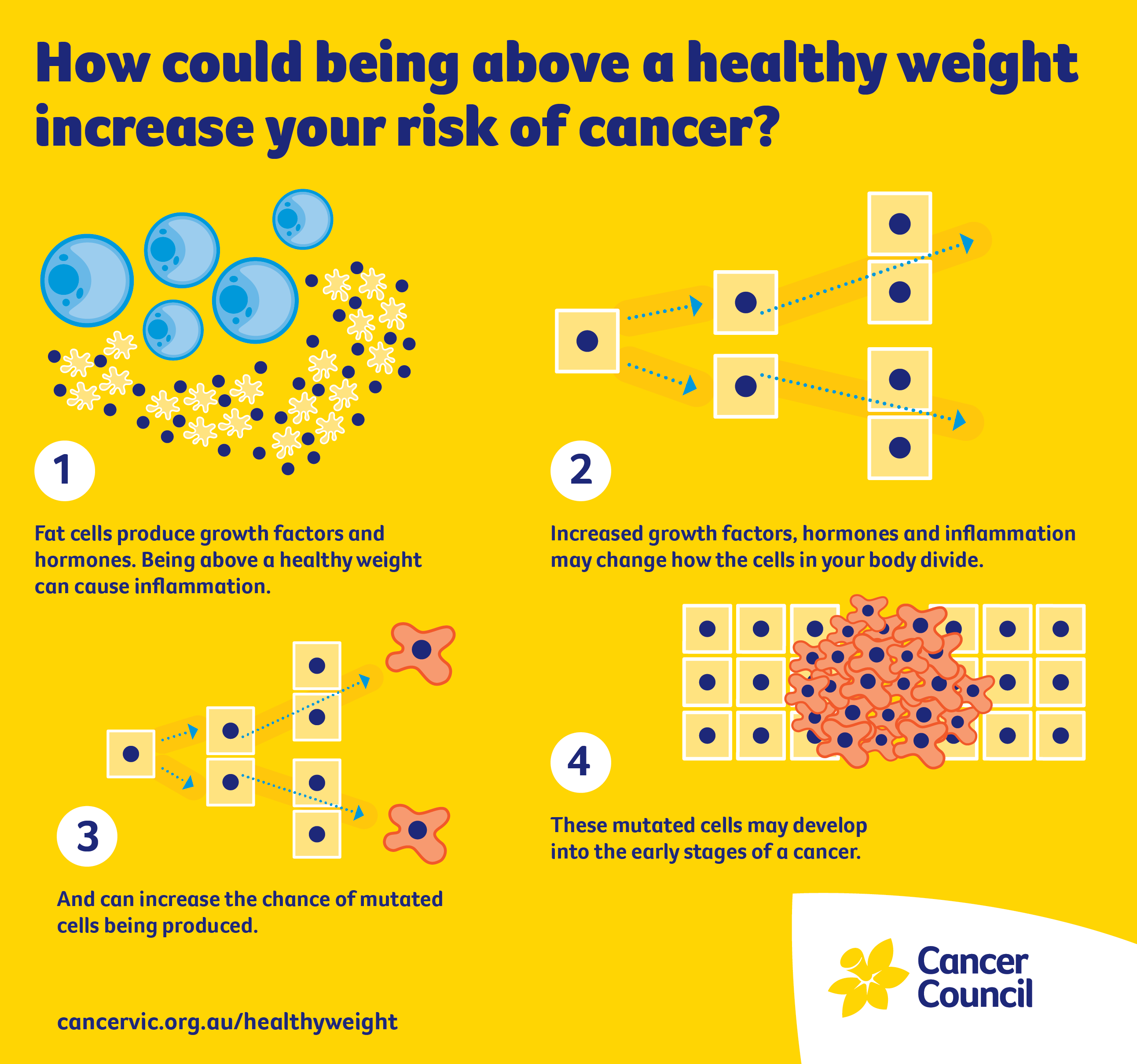 Weight And Cancer What Is The Link Cancer Council Victoria